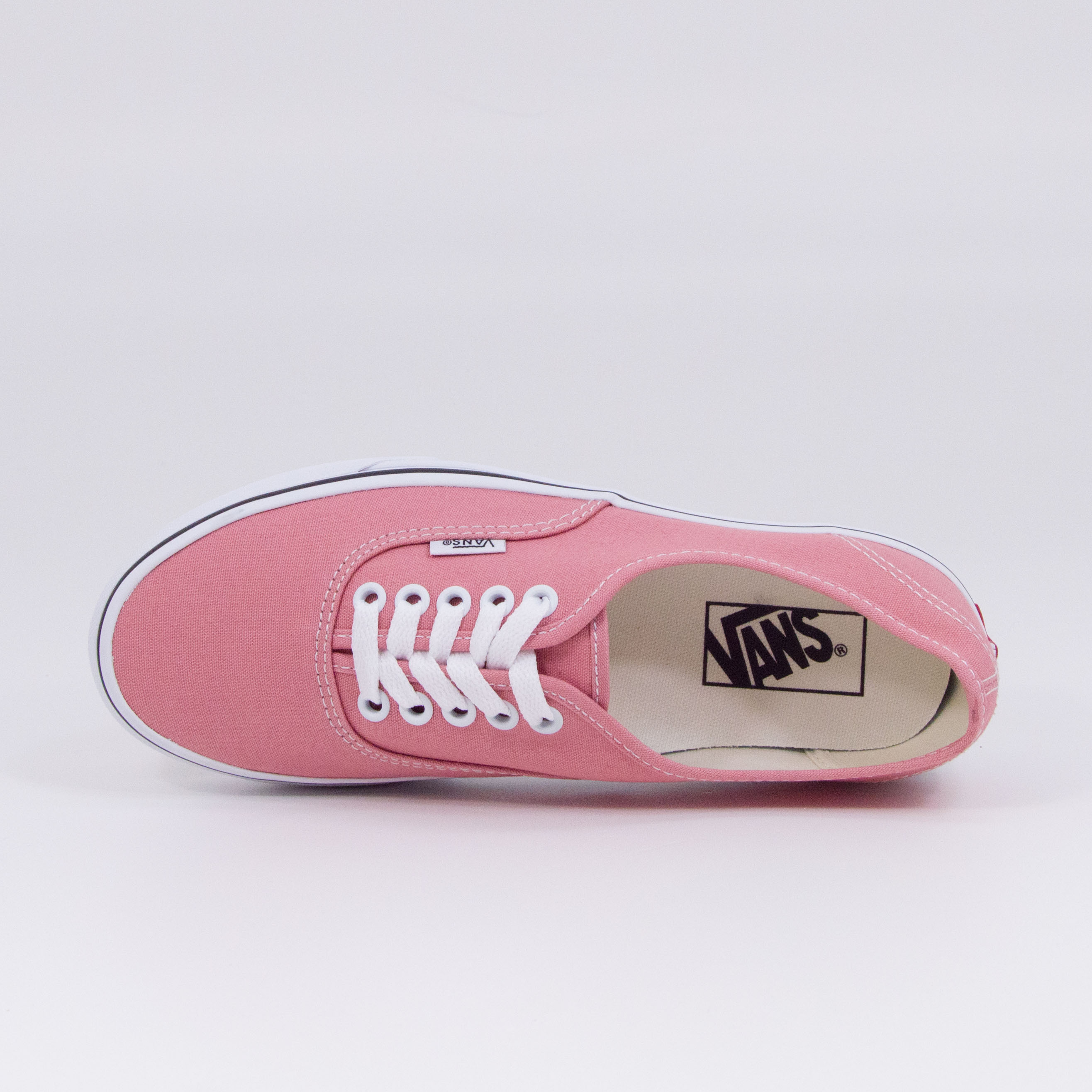 Vans - AUTHENTIC - Rosette/True White